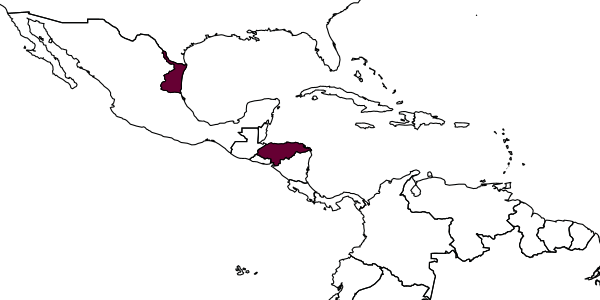 map of Pambolus oblongispina     Papp, 2000